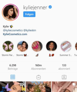 Instagram Bio Tipps So gestalten Sie einen ansprechenden Steckbrief