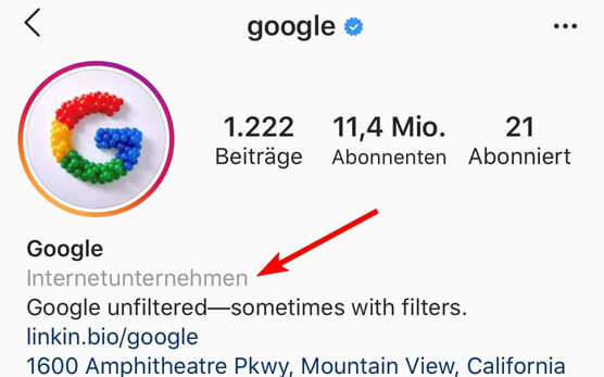 Instagram Profil Kategorie